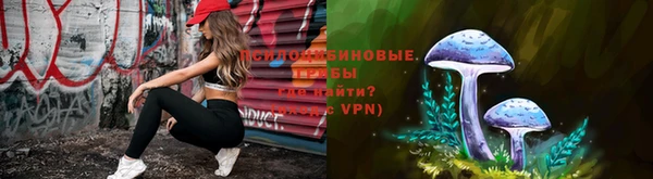 шишки Лихославль