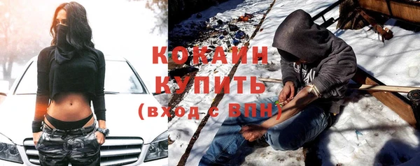 шишки Лихославль