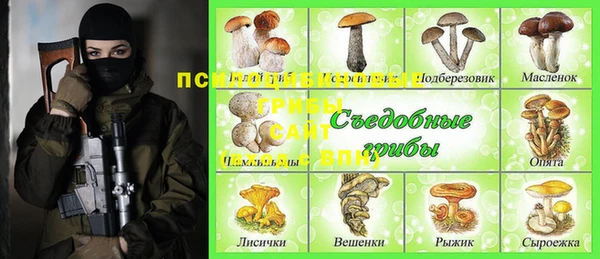 амф Ладушкин