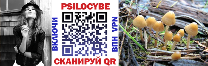 блэк спрут   Чебаркуль  Псилоцибиновые грибы Psilocybe 