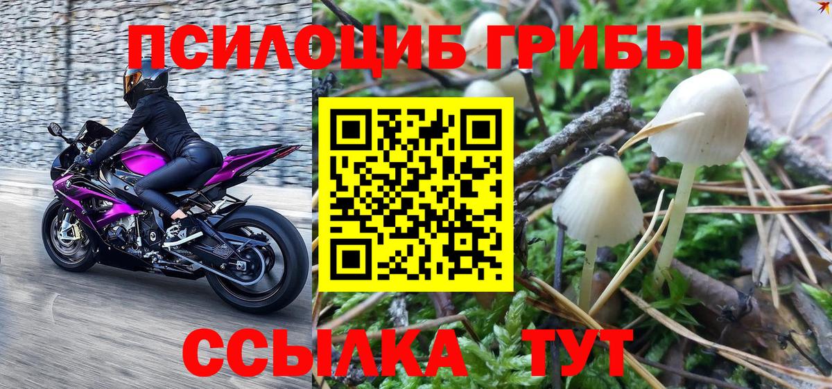 наркотики  Галлюциногенные грибы MAGIC MUSHROOMS  Чебаркуль  Вход с VPN  Галлюциногенные грибы GOLDEN TEACHER 